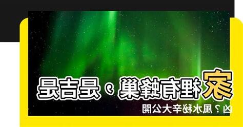 家裡有蜂巢 風水